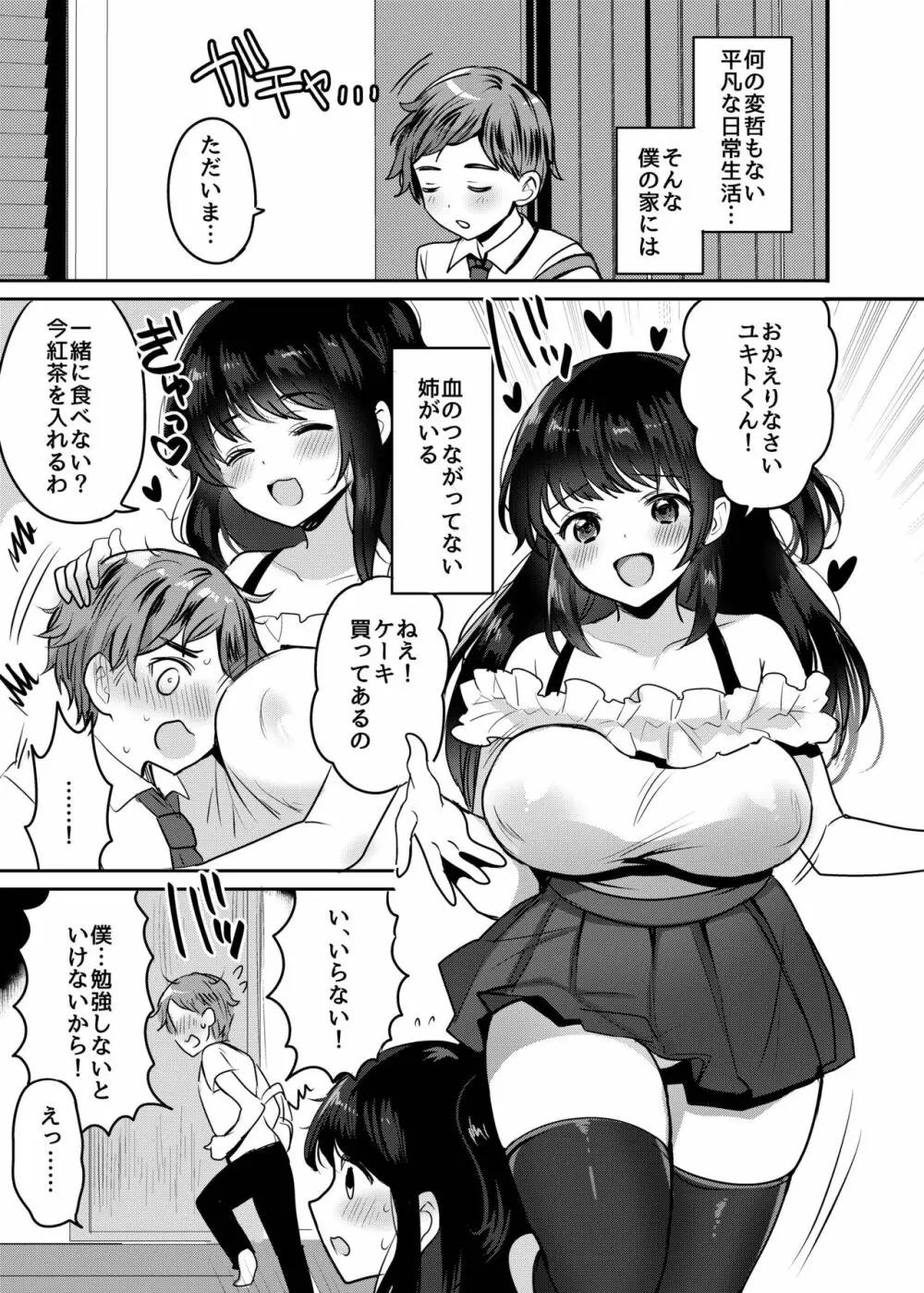 おねサキュ～お義姉ちゃんはどスケベサキュバス～ - page3