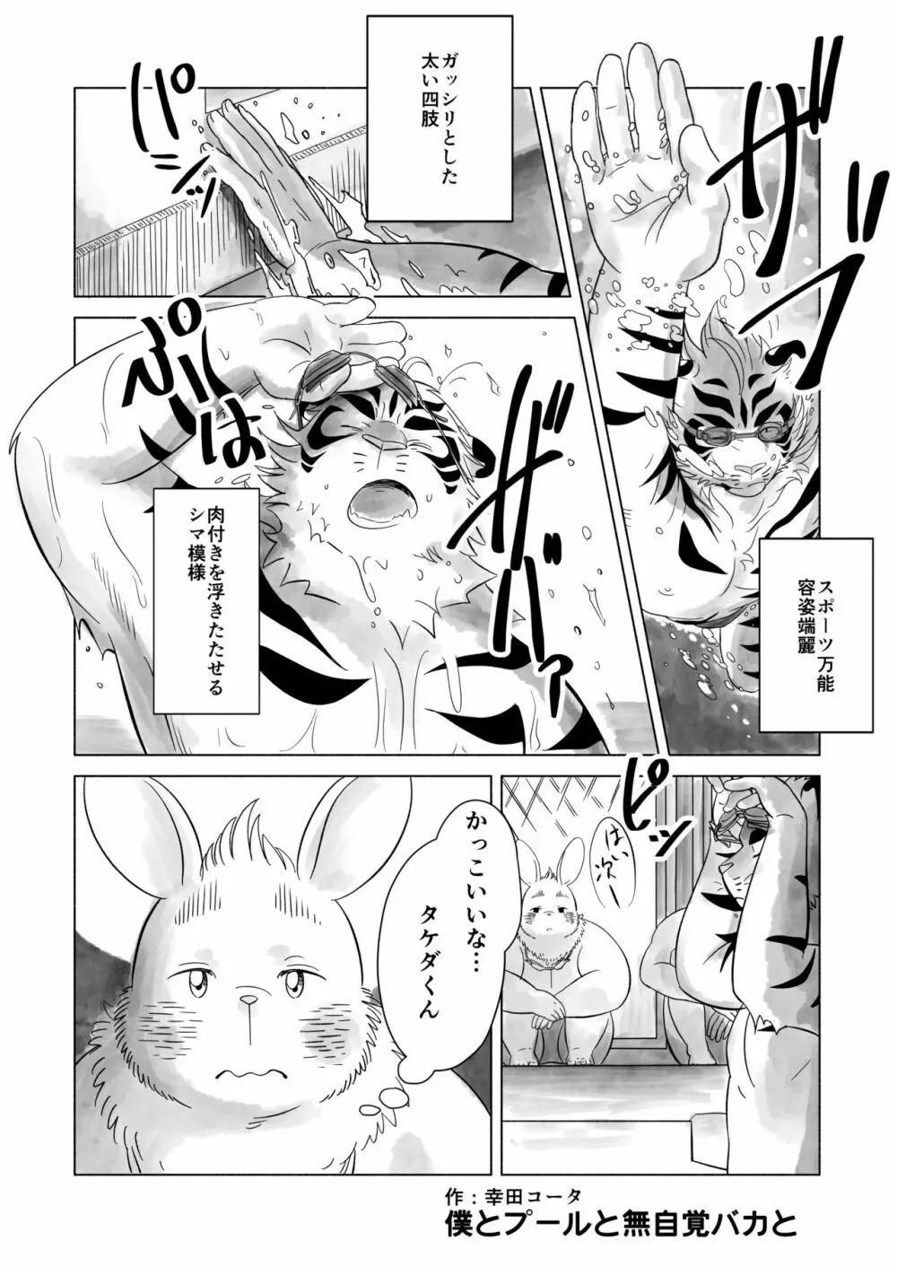 Koda_kota - Bunny and Tiger + extras - page2