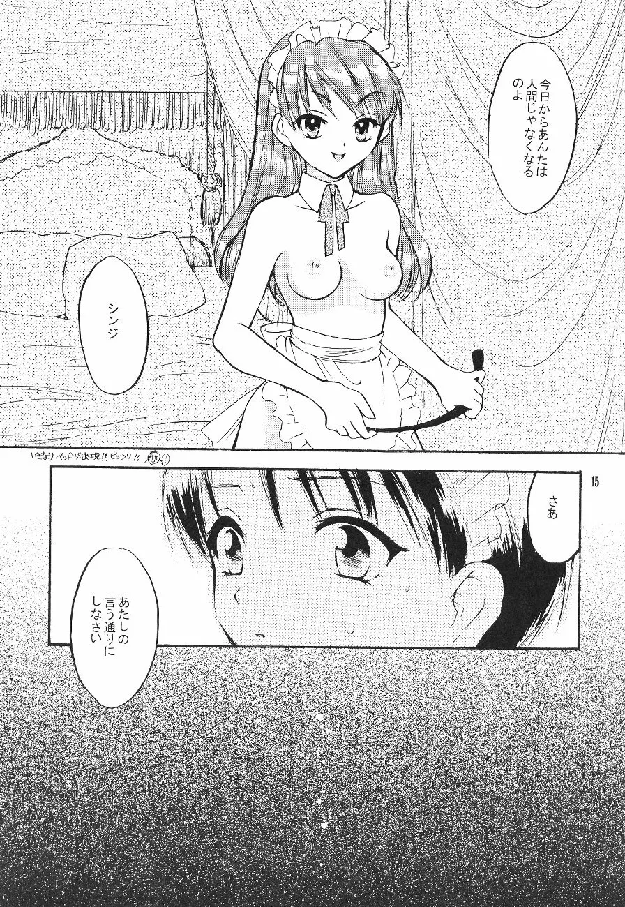 シンジマニアツウシン - page15
