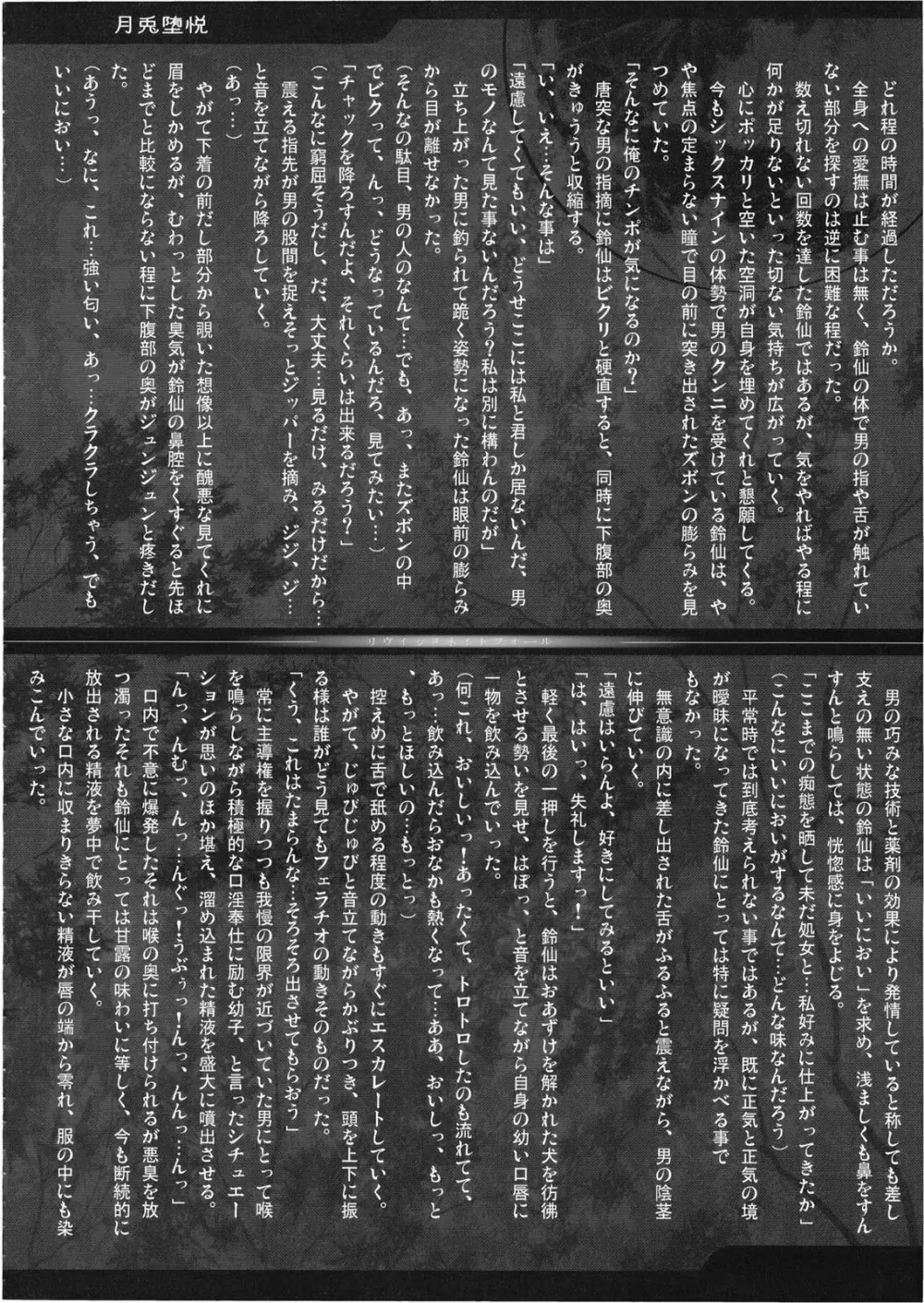 幻想郷 爆!! - page10