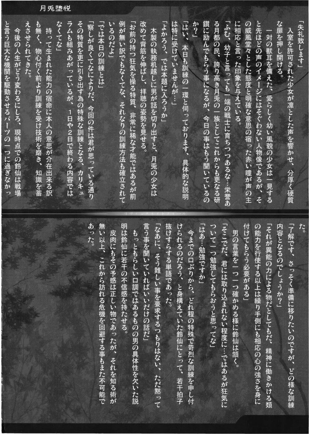 幻想郷 爆!! - page4