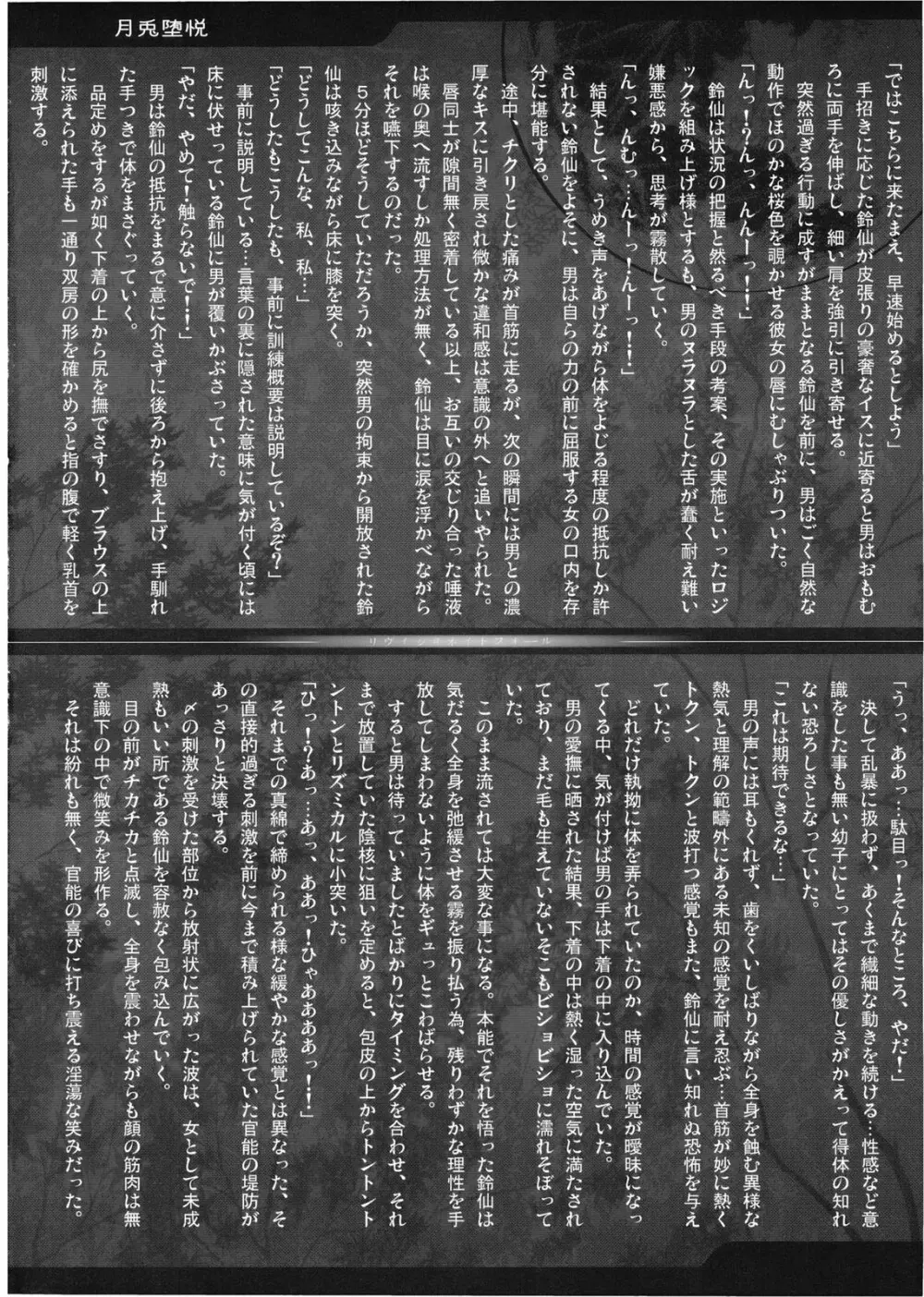 幻想郷 爆!! - page6