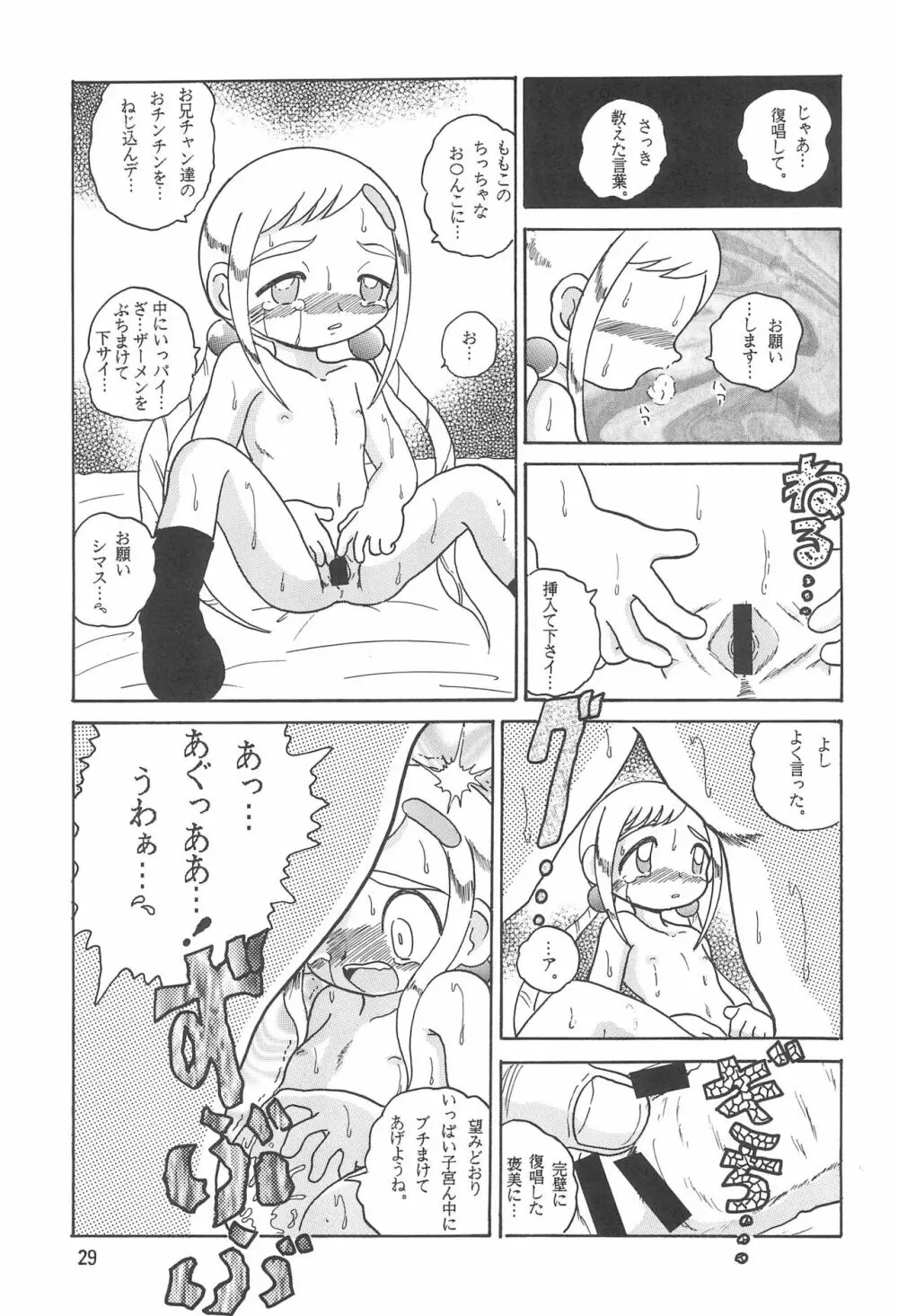 HI-PHS V - page31