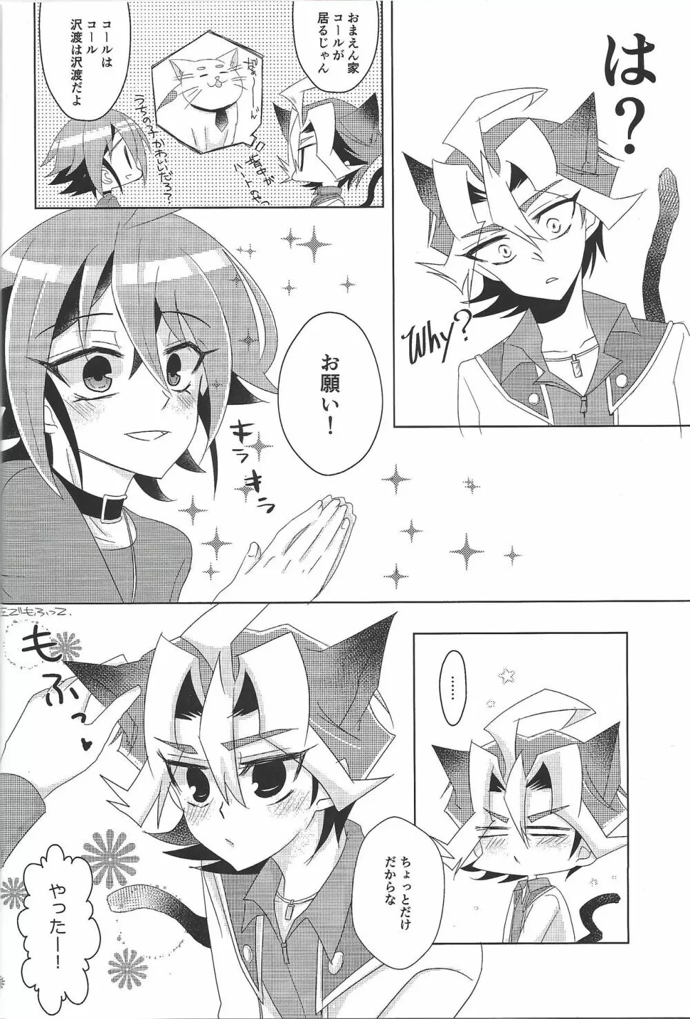 ねこは抱くもの - page7