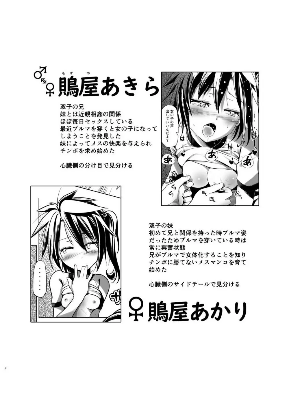 ああ変態双子 2 - page3