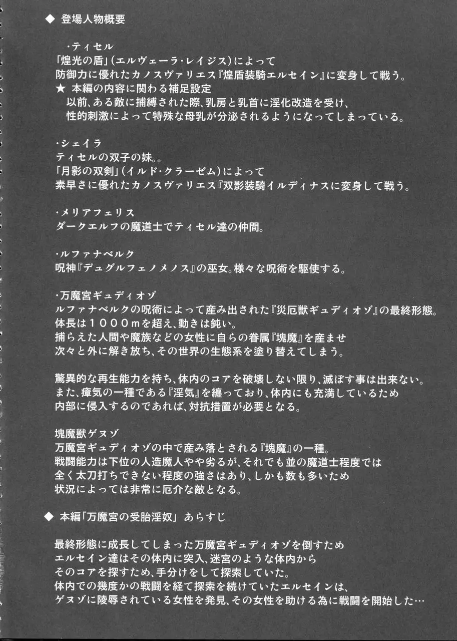 煌盾装騎エルセイン Vol.7 「万魔宮の受胎淫奴」 - page3