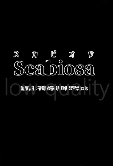 Scabiosa. - page3