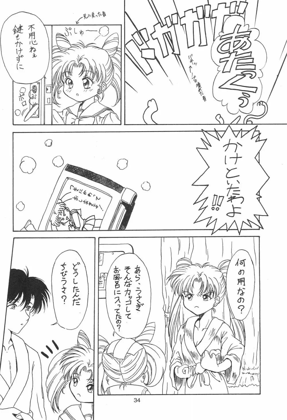 食用禁止青果実 - page34