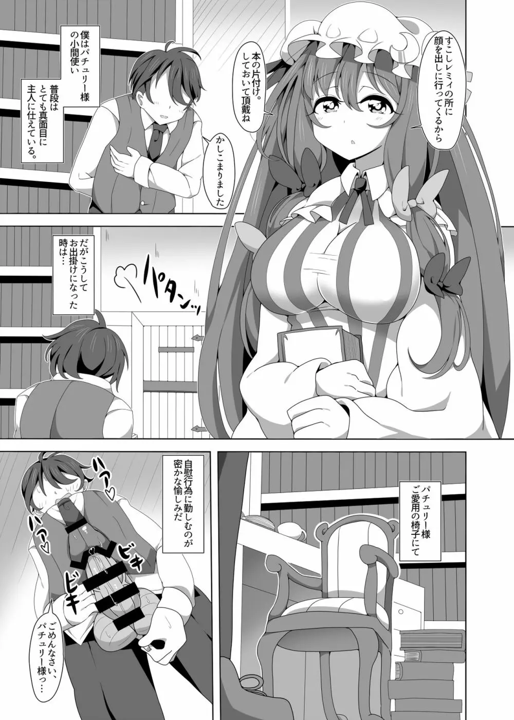 気だるげパチュリー様の筆おろしセックス - page2