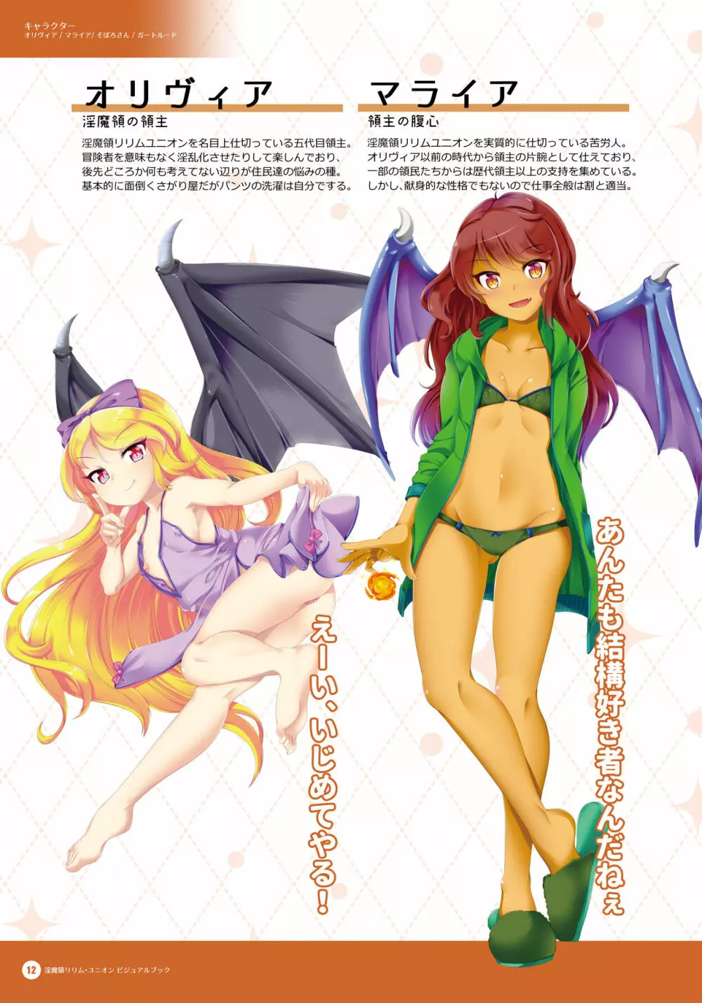 淫魔領リリム・ユニオン 公式ビジュアルブック - page11
