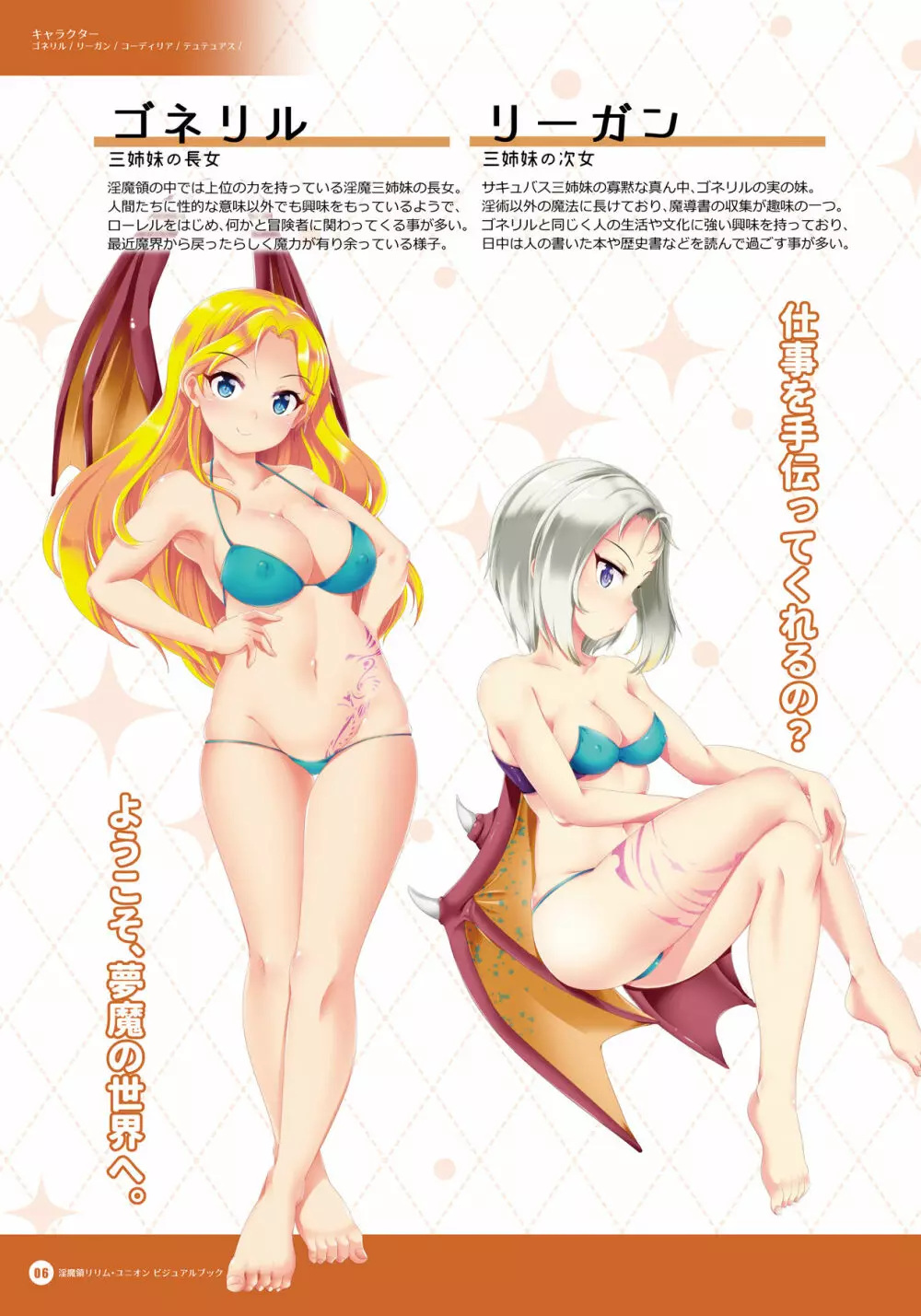 淫魔領リリム・ユニオン 公式ビジュアルブック - page5