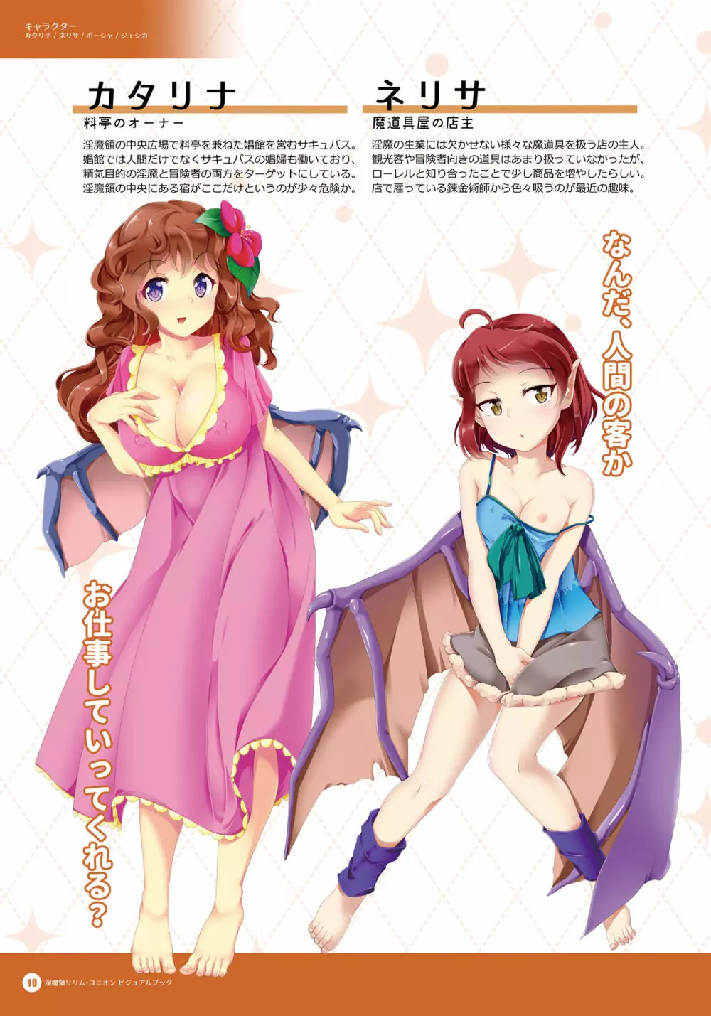 淫魔領リリム・ユニオン 公式ビジュアルブック - page9