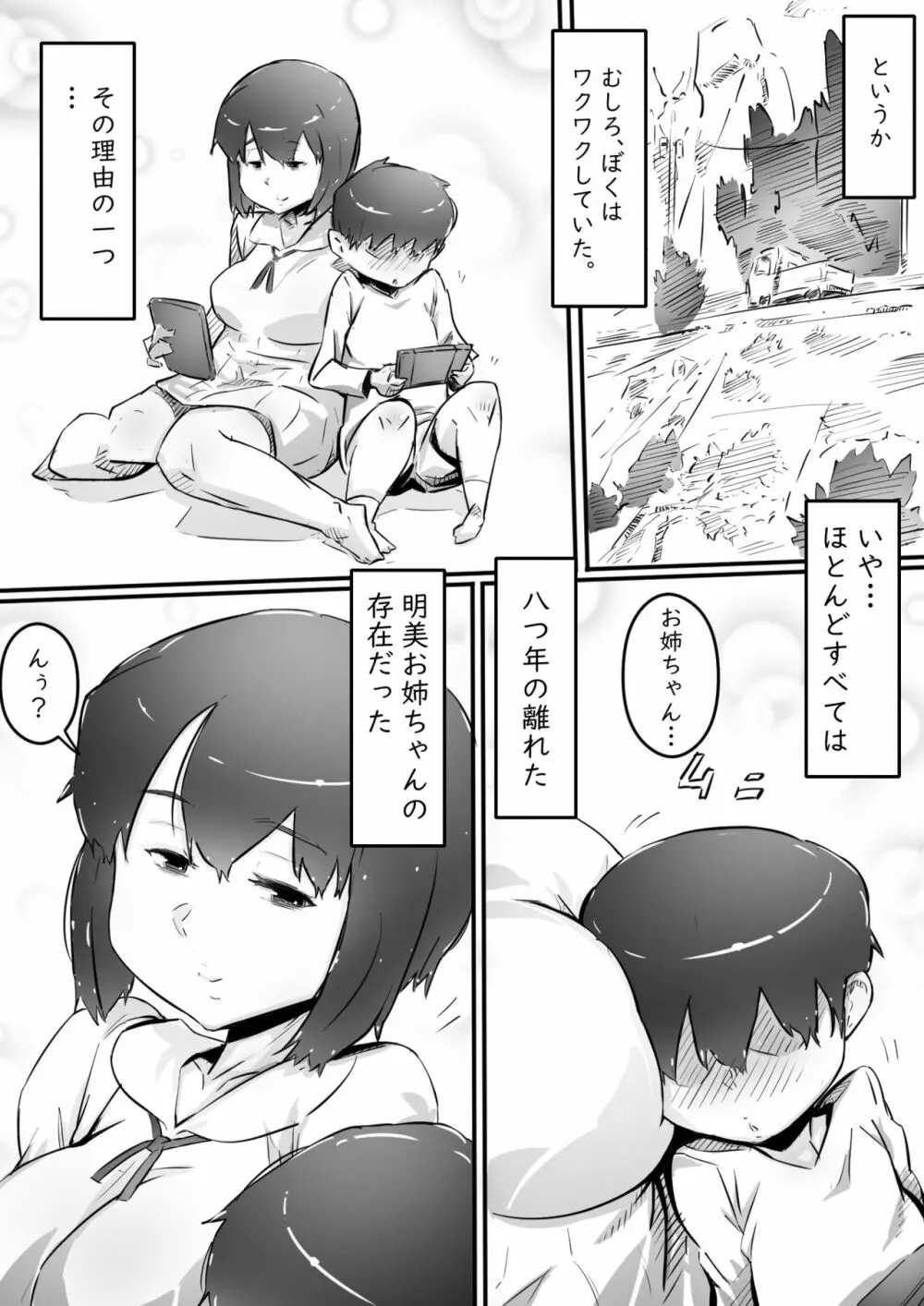 姉との日々パート1-3 - page3