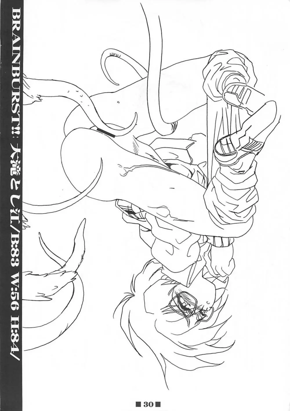(C58) [HQ's (梶山弘)] RB WORKS (1) GENM & BRAINBURST!! 淫獣幻夢原画集 (淫獣幻夢) - page29