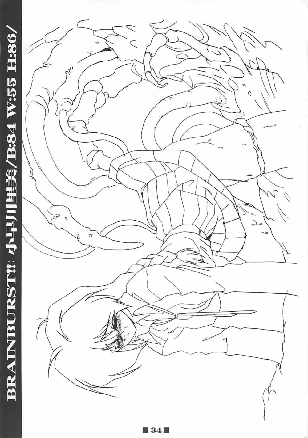 (C58) [HQ's (梶山弘)] RB WORKS (1) GENM & BRAINBURST!! 淫獣幻夢原画集 (淫獣幻夢) - page33