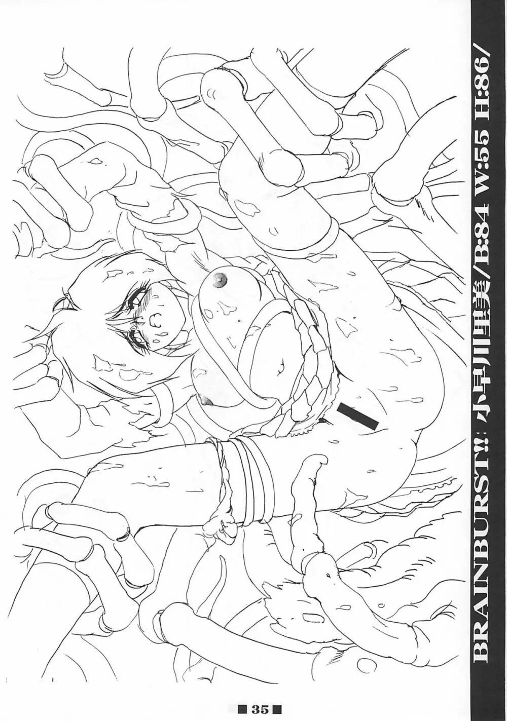 (C58) [HQ's (梶山弘)] RB WORKS (1) GENM & BRAINBURST!! 淫獣幻夢原画集 (淫獣幻夢) - page34