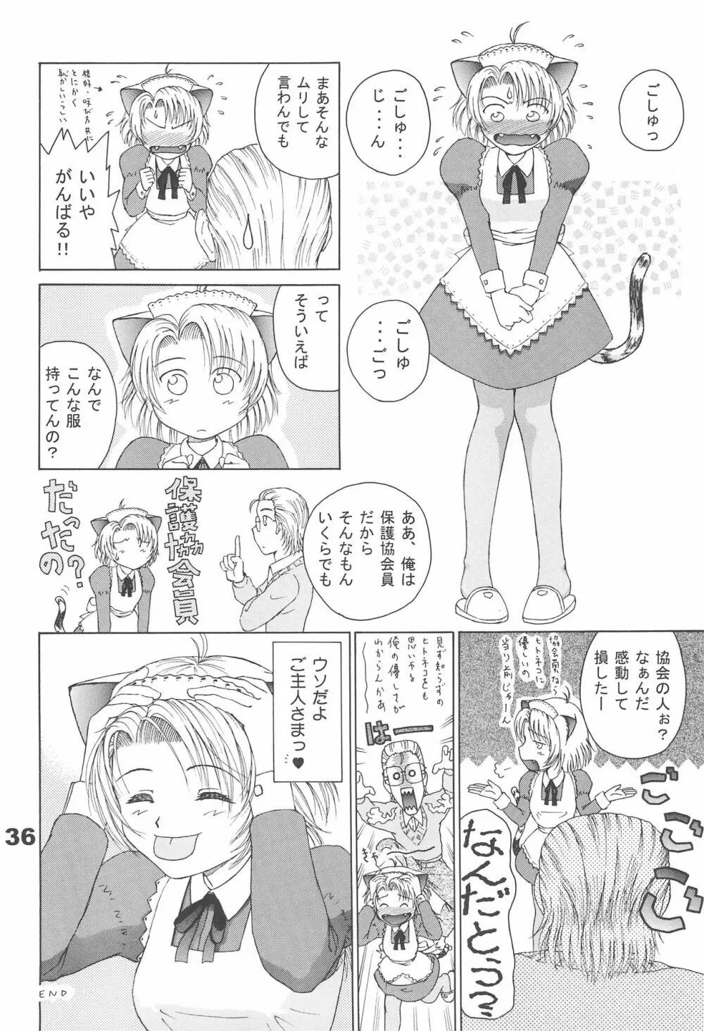 ねこメイド A GO GO! - page38