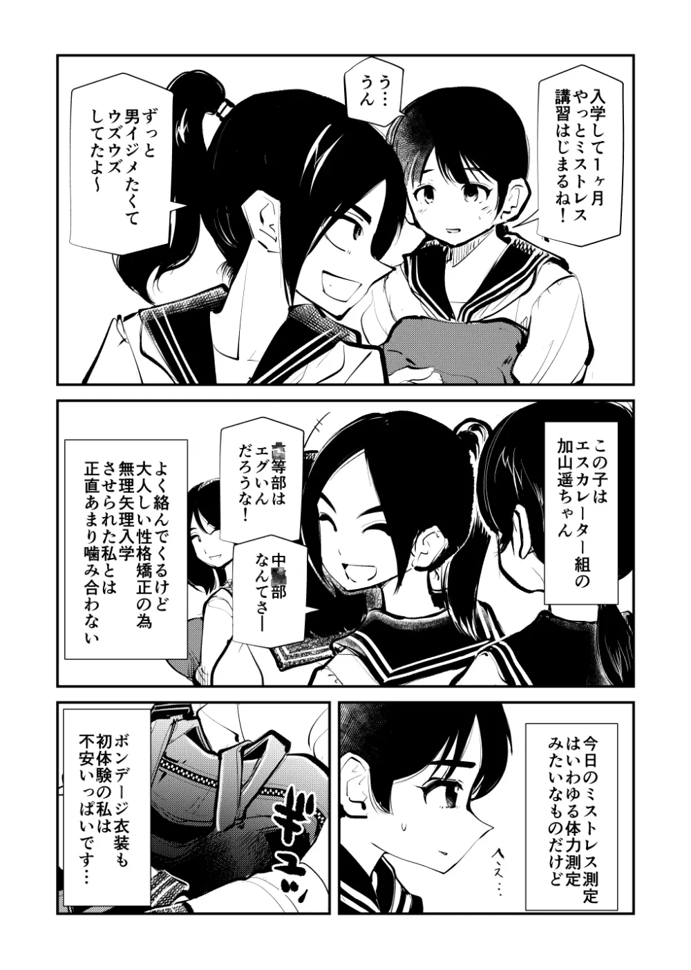 ミストレス測定 - page6