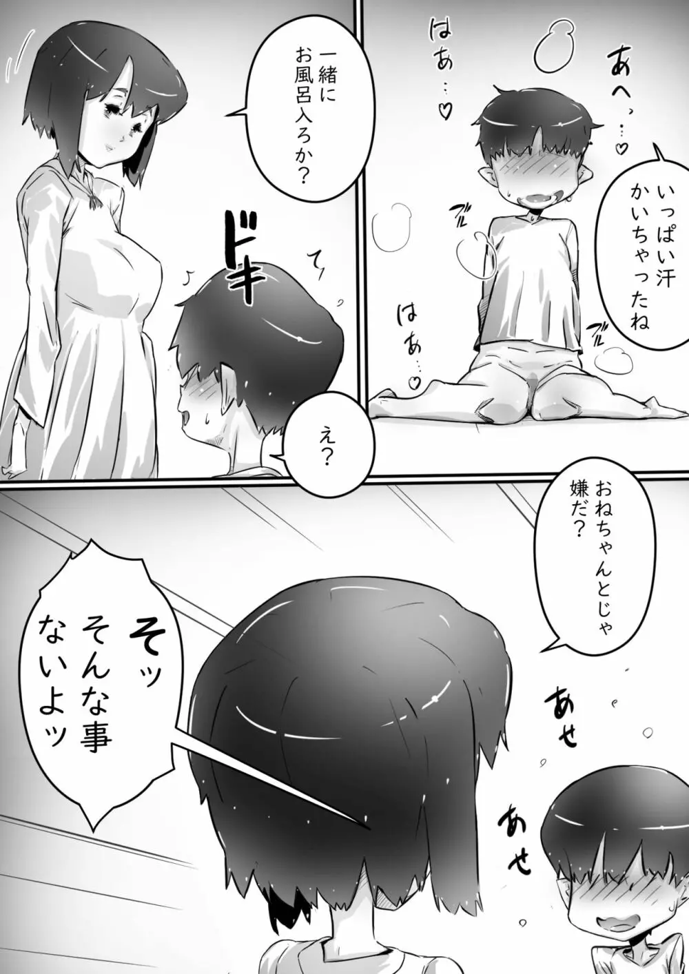 [ヒレカツ] 姉との日々 part-I -芽吹きの季節編- - page23