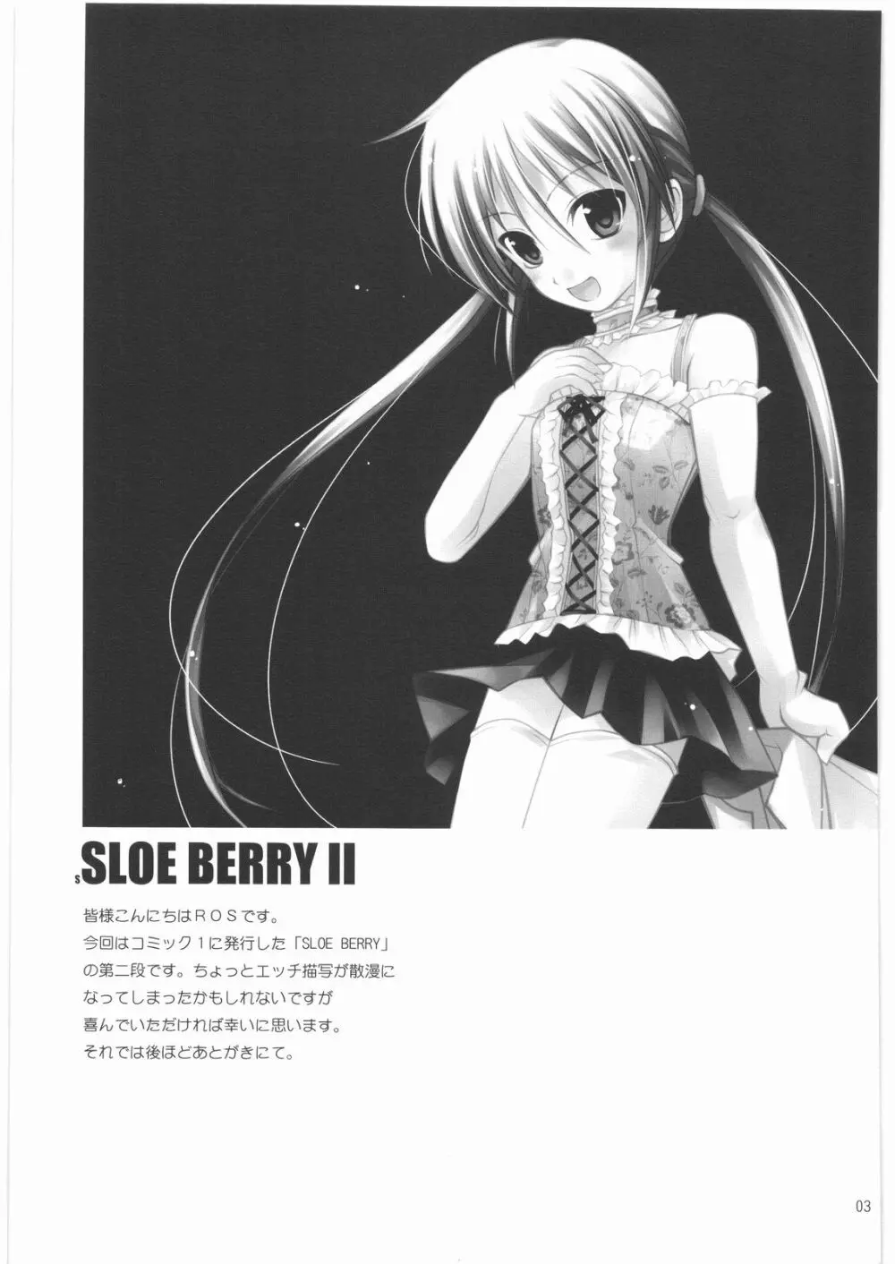 SLOE BERRY II - page2
