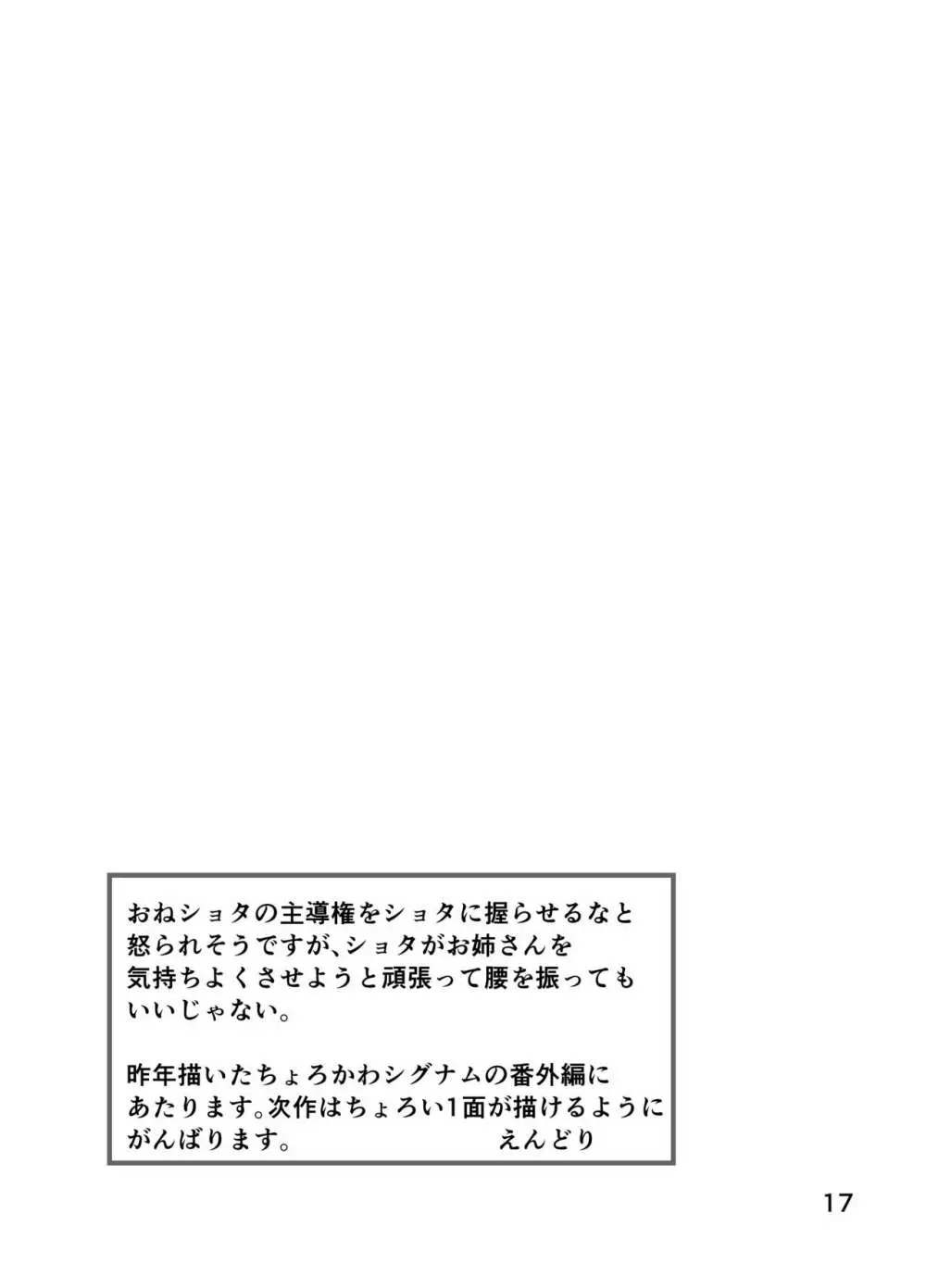 シグナムお姉さんがあなたくんに教えるセックスのてほどき - page17