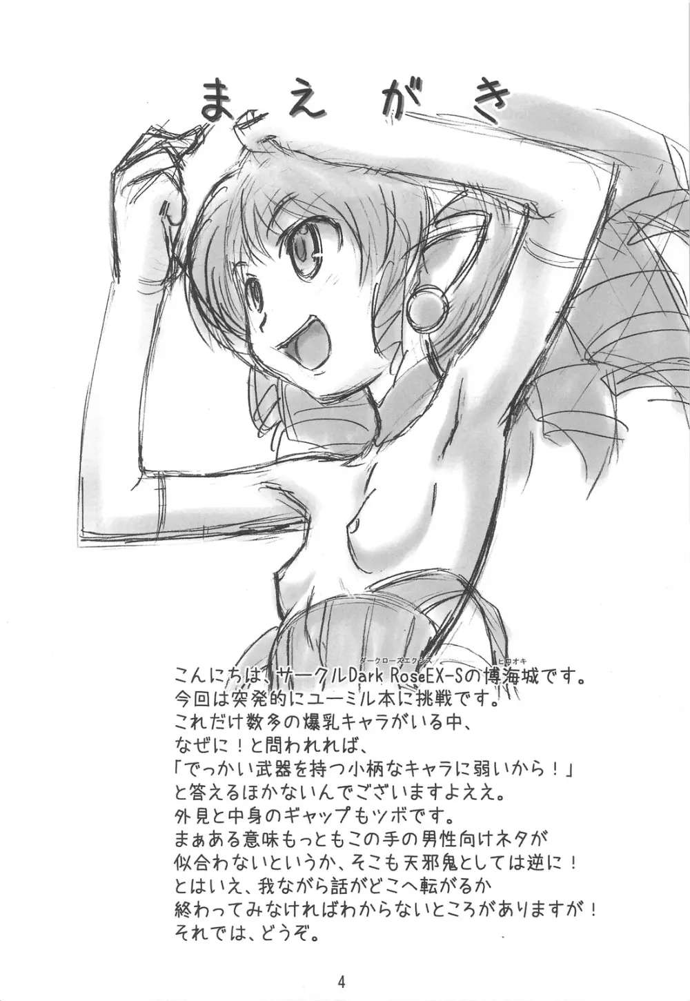 姫様はおカタいのがお好き? - page4