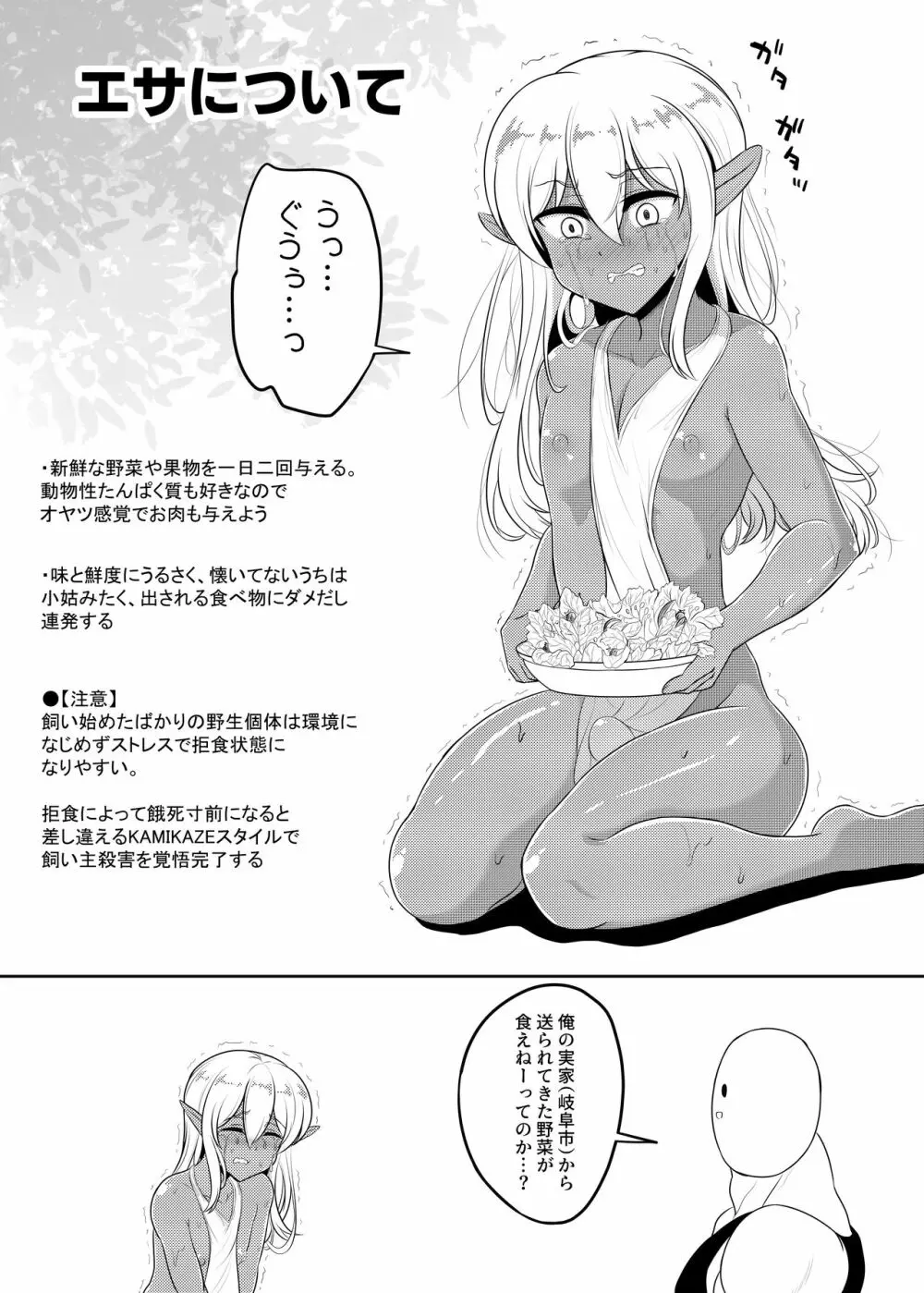 褐色エルフくん♂の飼い方 - page9