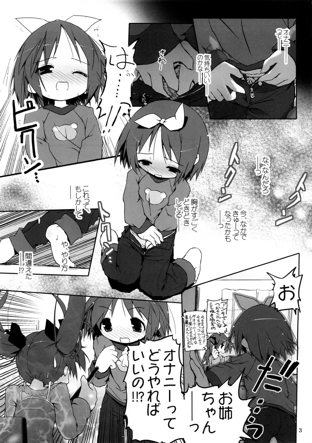 柊姉妹愛撫マニュアル - page4