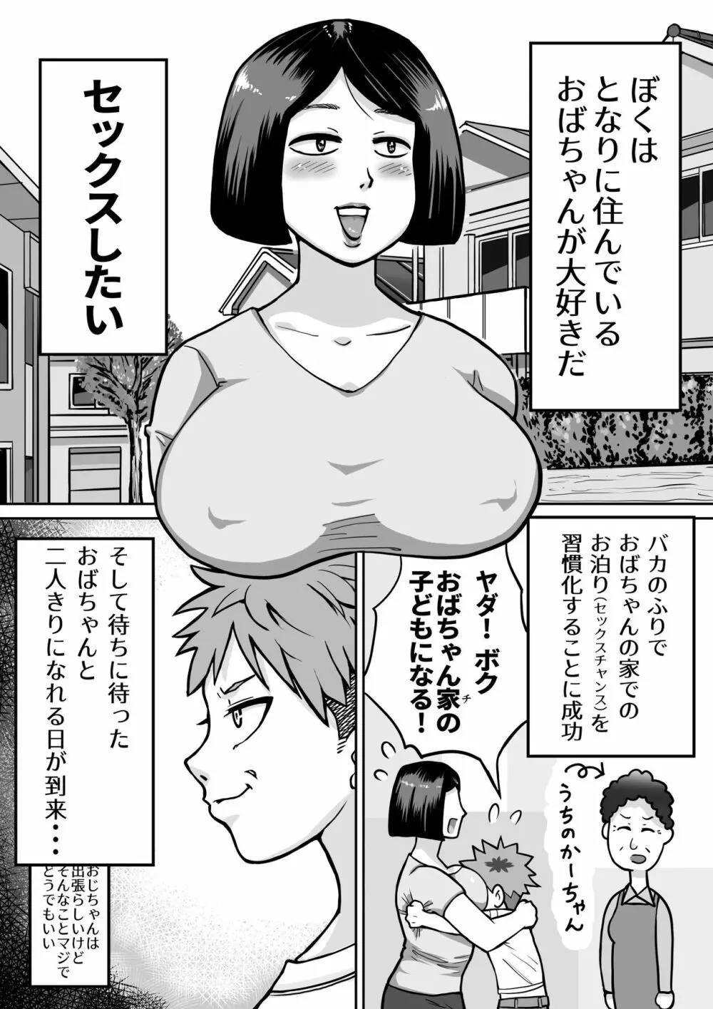 僕の大好きなおばちゃん - page3