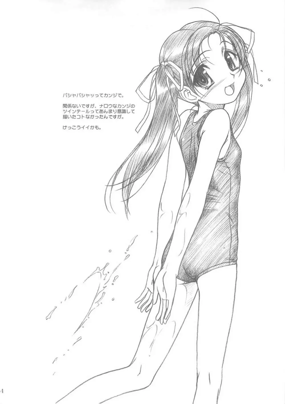 ROUTEMAP⇔SSSS SchoolSwimSuitSpecial. - page13
