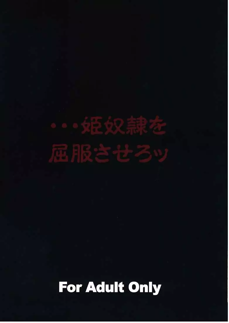 王女凌辱 Garnet - page31