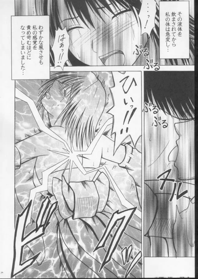 錯乱した隠遁者 - page13