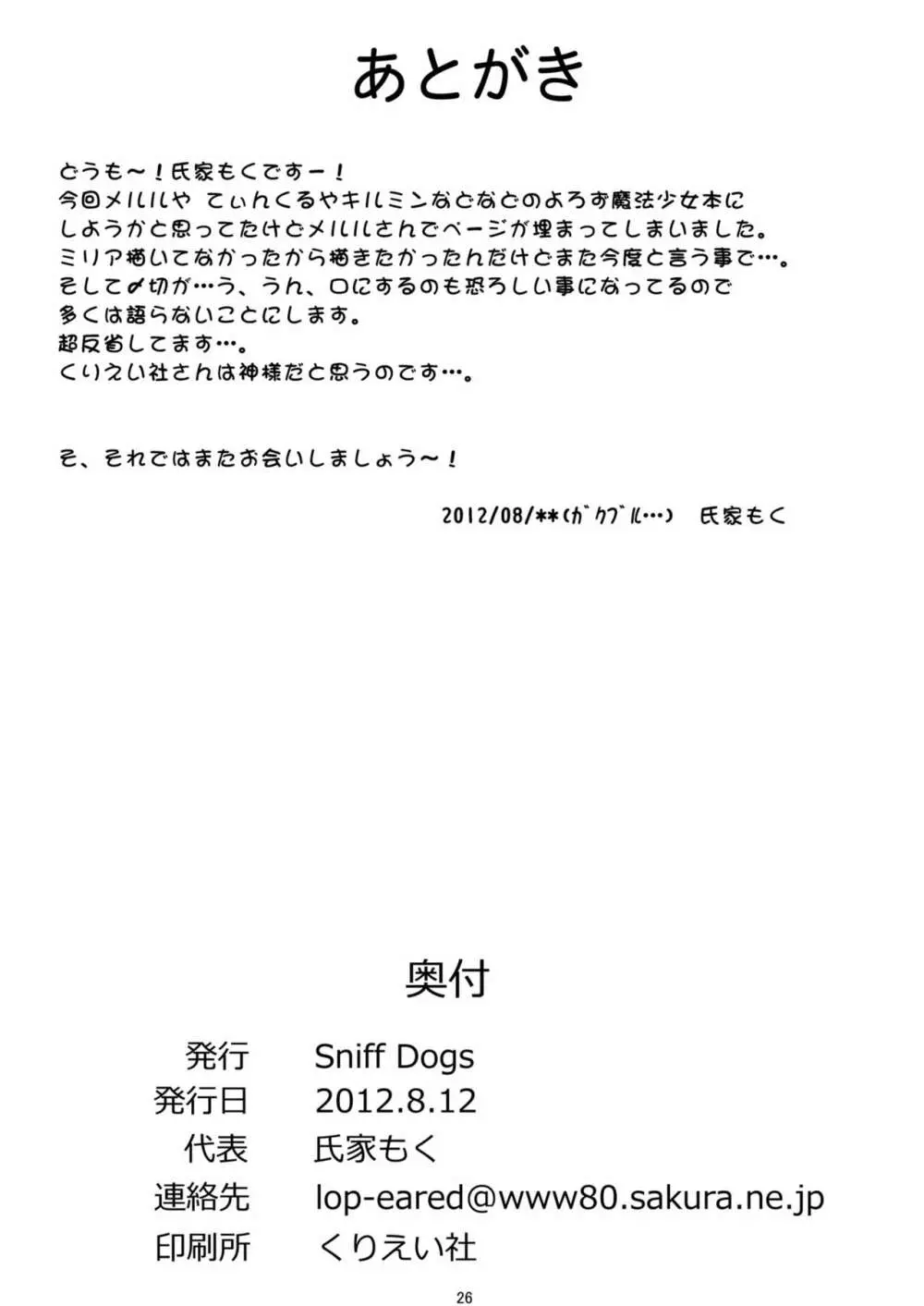 俺の魔法少女がこんなにアナリスト - page25