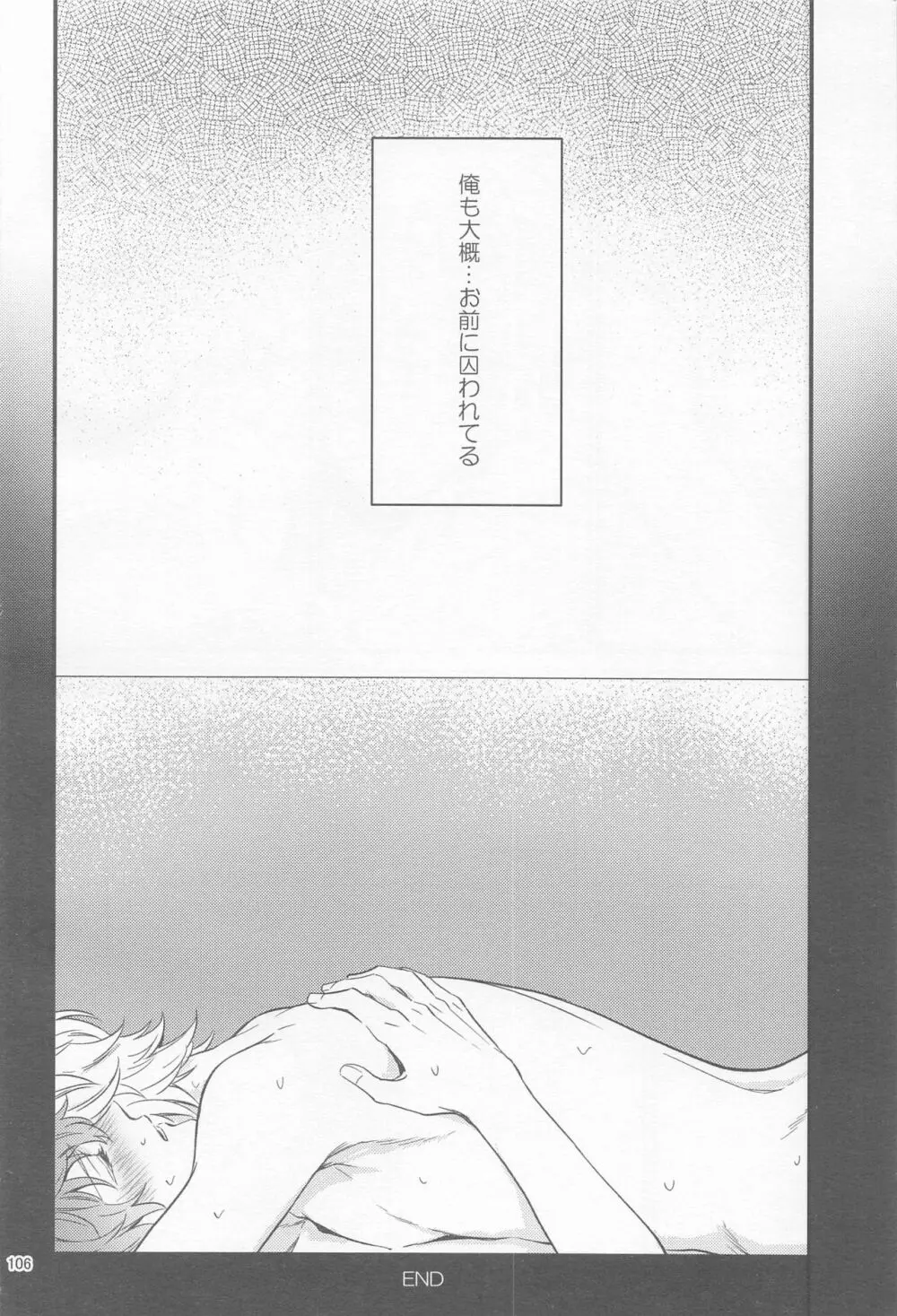 Ｈ×Ｄ COLLECTION - page105