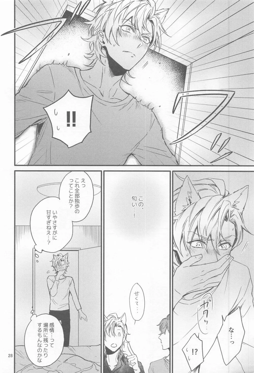 Ｈ×Ｄ COLLECTION - page27