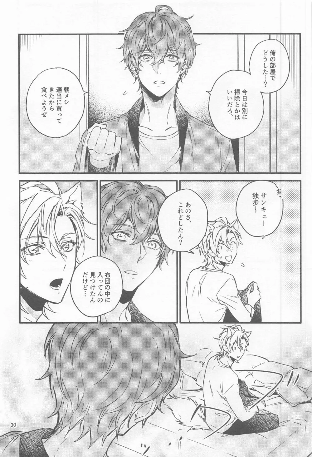 Ｈ×Ｄ COLLECTION - page29