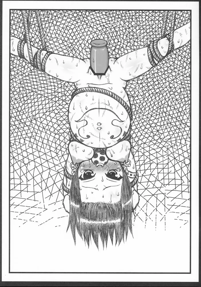 Sheep' Head. REC - page17