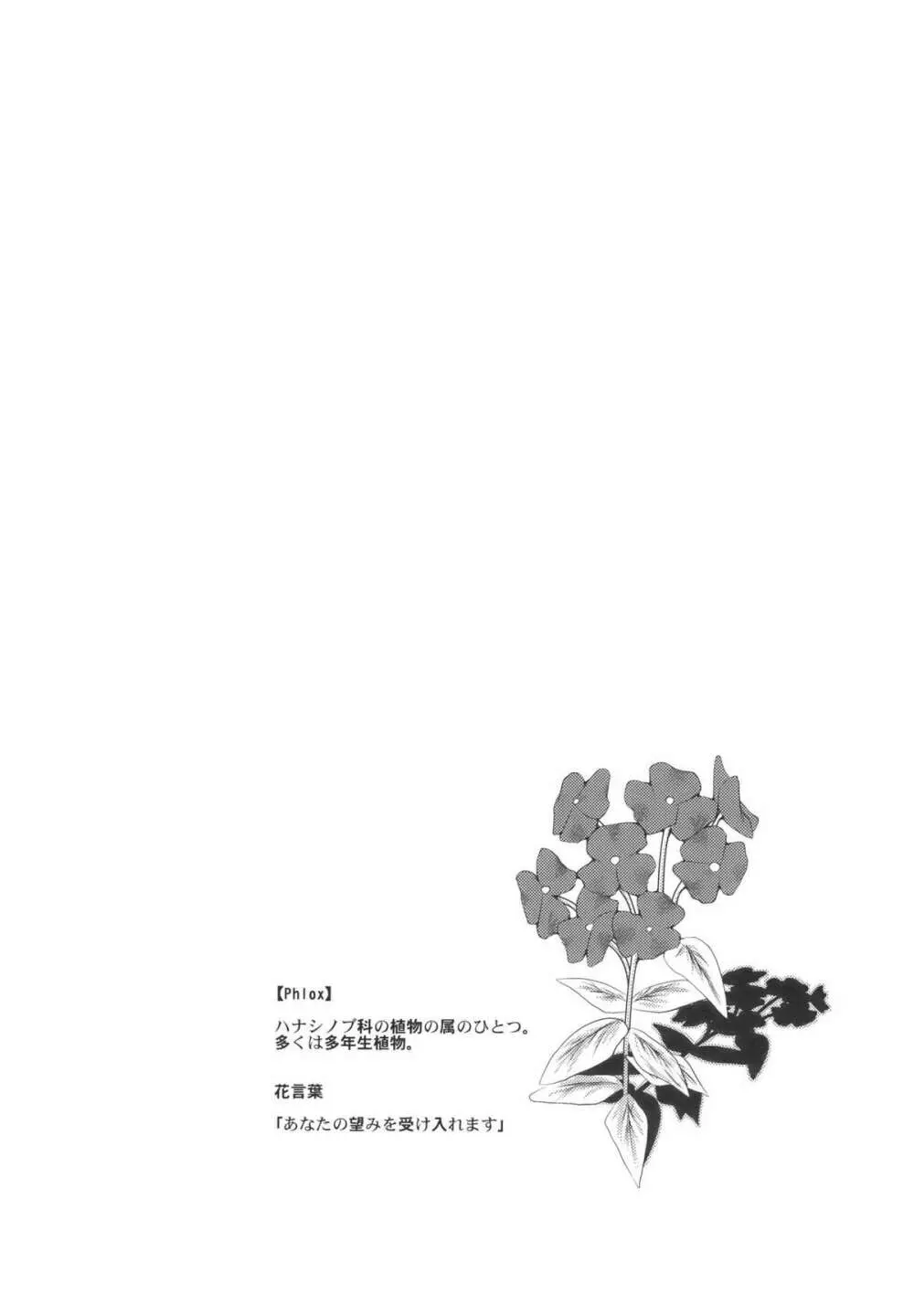 Phlox×Crocus - page34