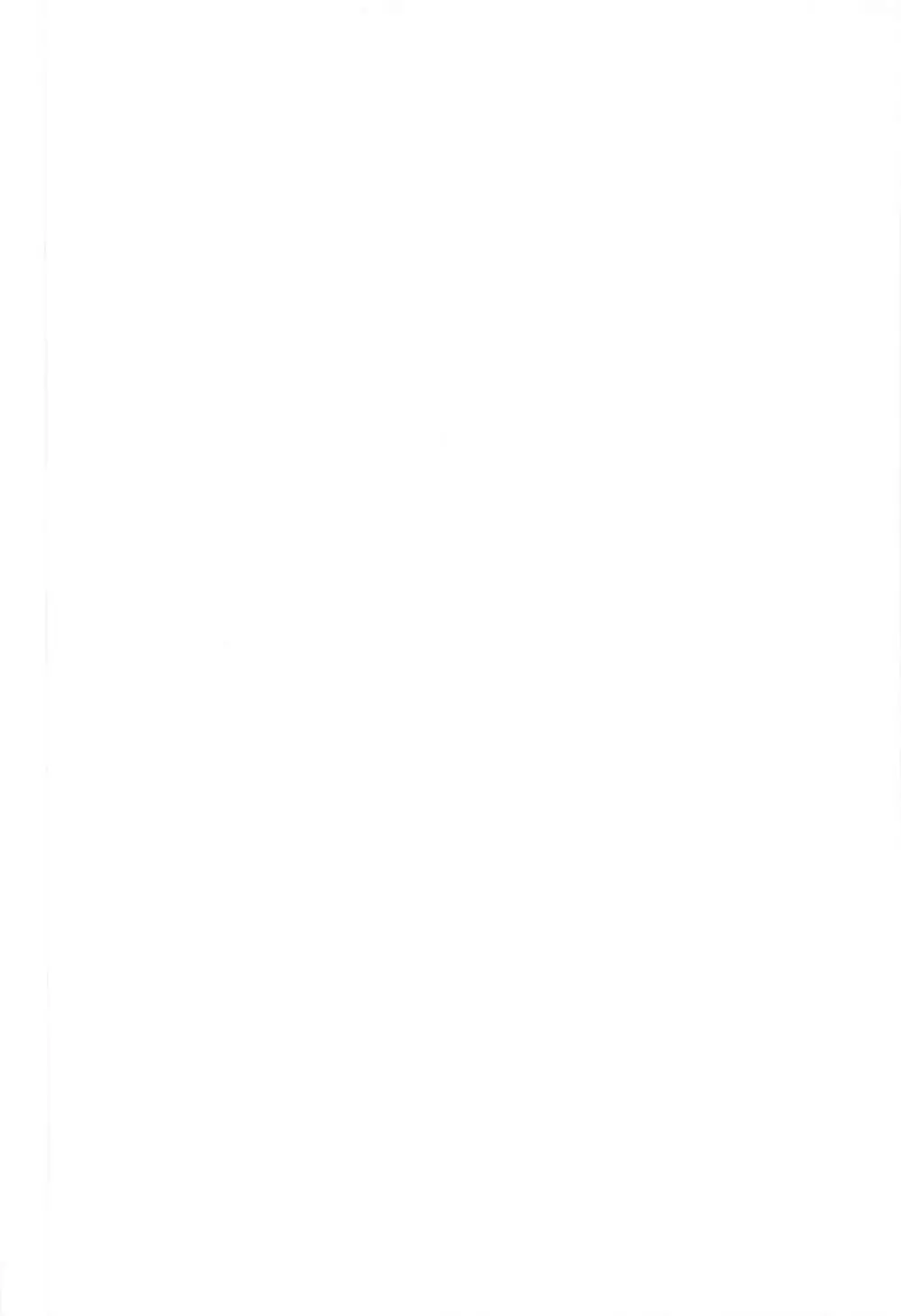 ナツノムスメ C94 - page25