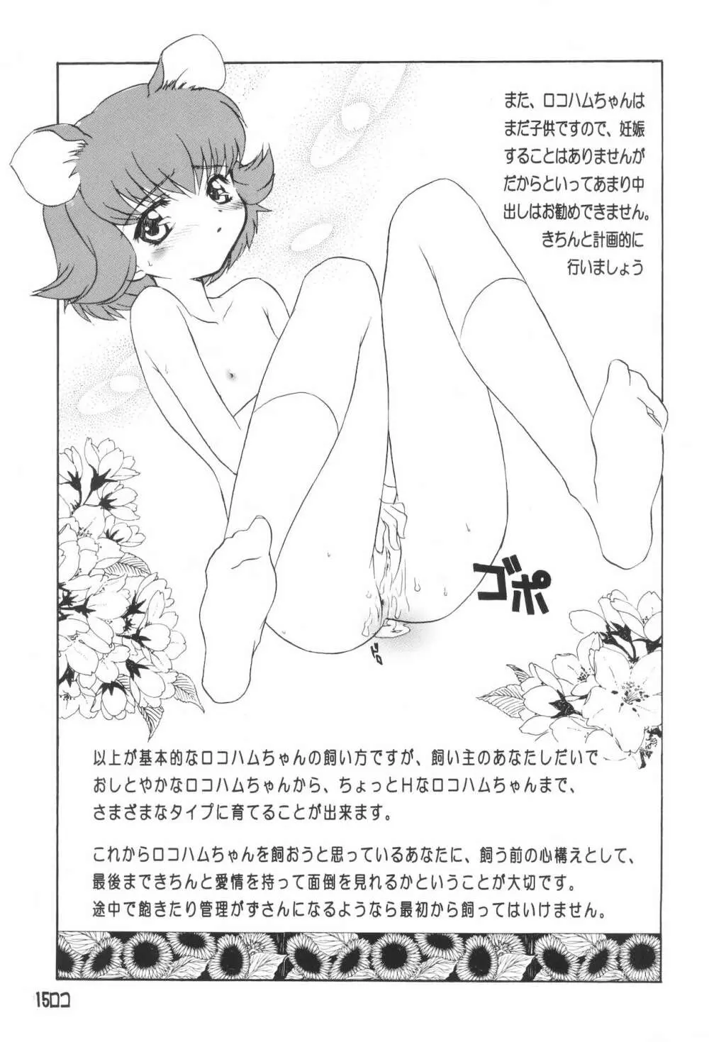BMハム太郎 - page17