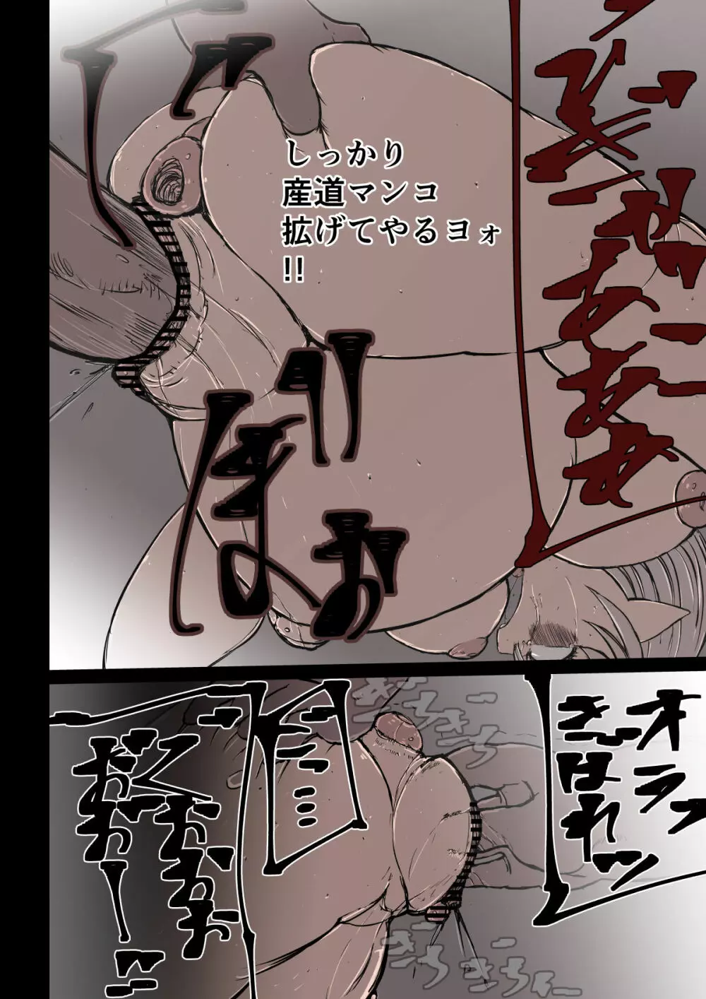 オークハンターとして名を馳せる女エルフがオークに捉まった。そして孕まされた - page12