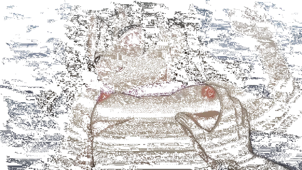 LOLI GIF - page64