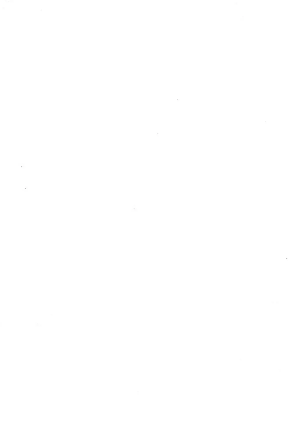 迷菓東や 東・京都個人誌 Vol.4~6 総再編集本 - page2