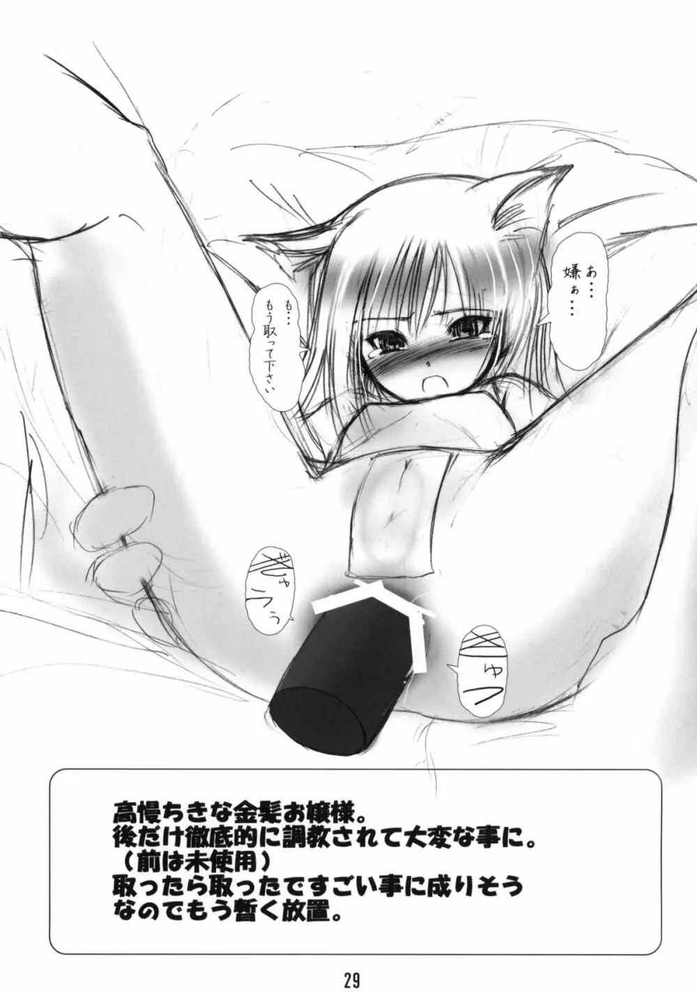 白狐の杜 - page28