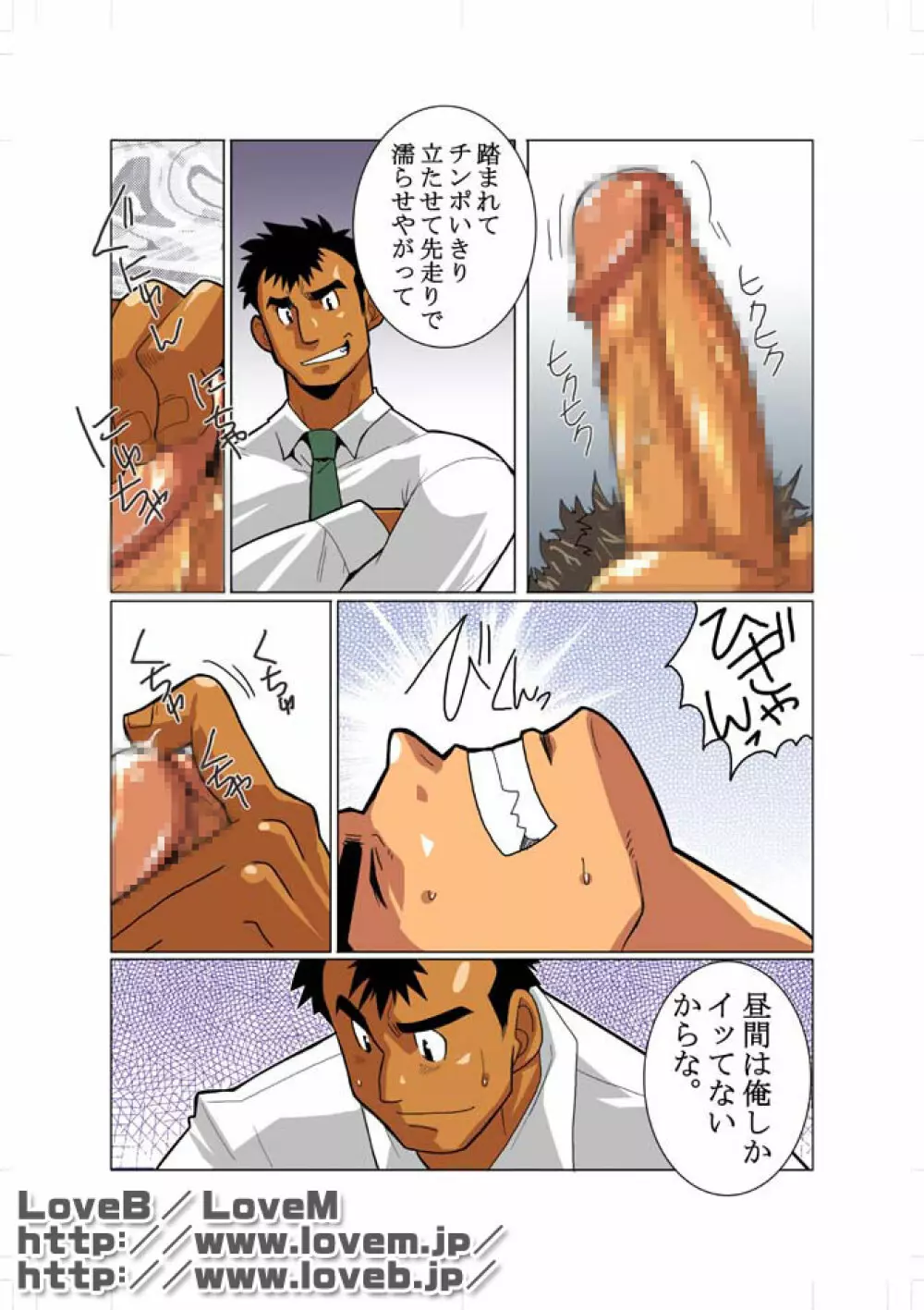 Window - page17