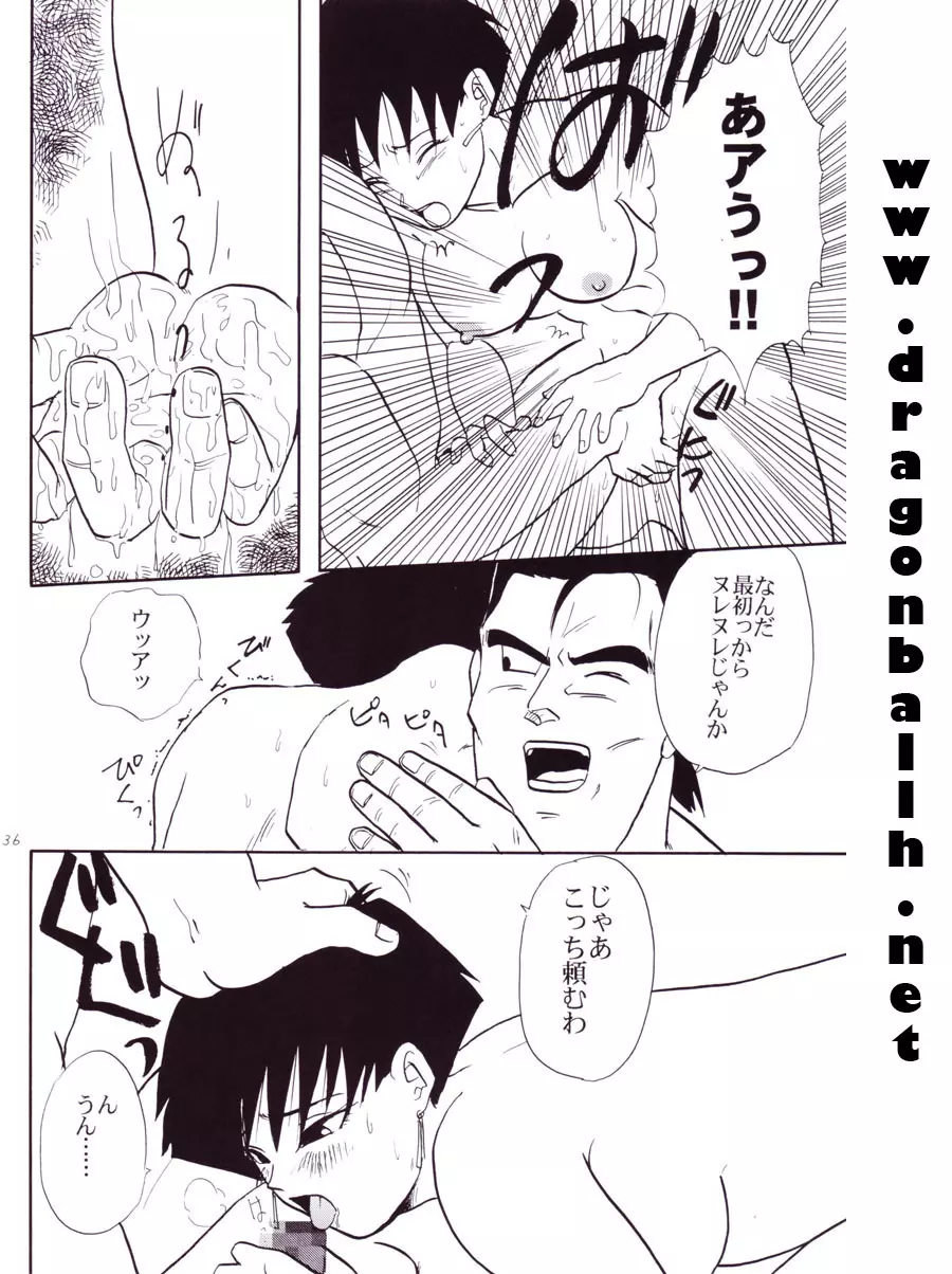 Dragon Ball Z - Wakayo - page37