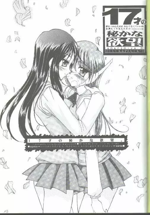 17才のひそかな欲望 - page2
