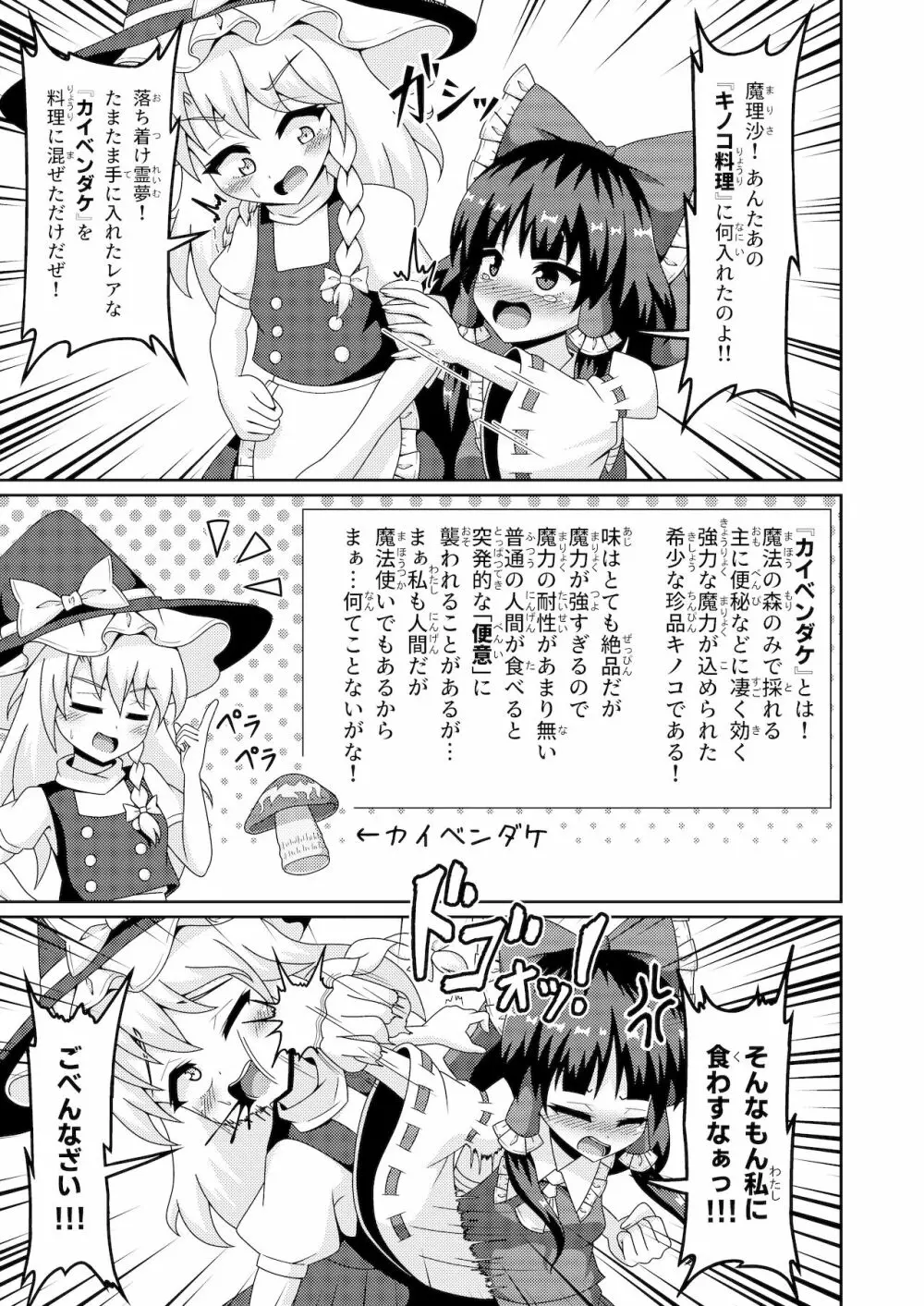 霊夢の不運な大異変 - page14
