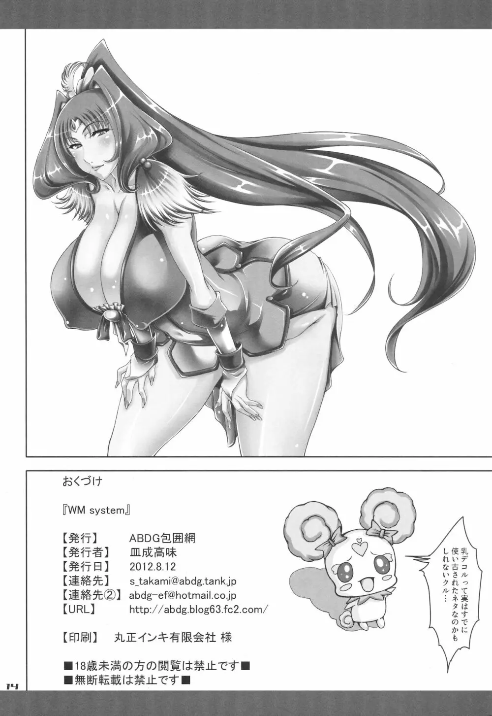 WM System - page13