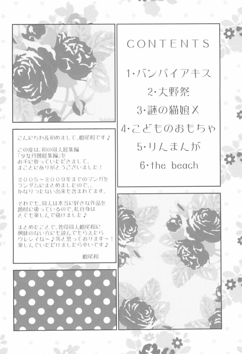 少女月蝕総集編 2005~2009 - page4